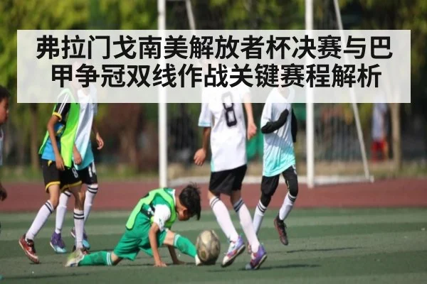 弗拉门戈南美解放者杯决赛与巴甲争冠双线作战关键赛程解析